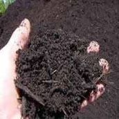 compost2