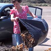 Yard Waste Disposal