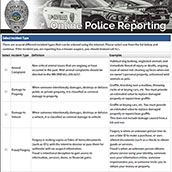 Police Report