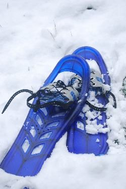 Snowshoes