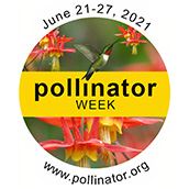 Pollinator Week