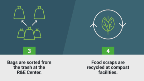 RE-Food-Scraps-Bag-Graphic-FINAL-01-1024x277