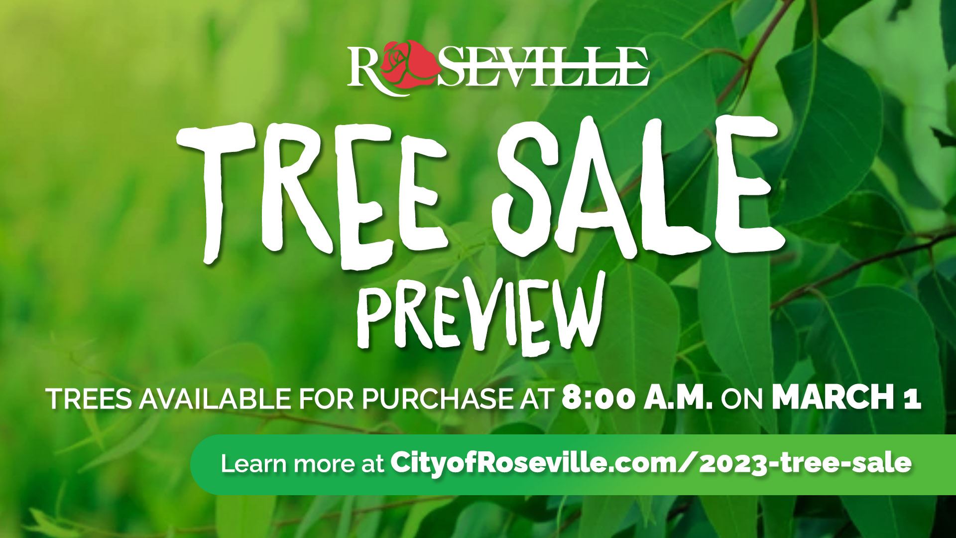 Roseville Tree Sale preview is now open.
