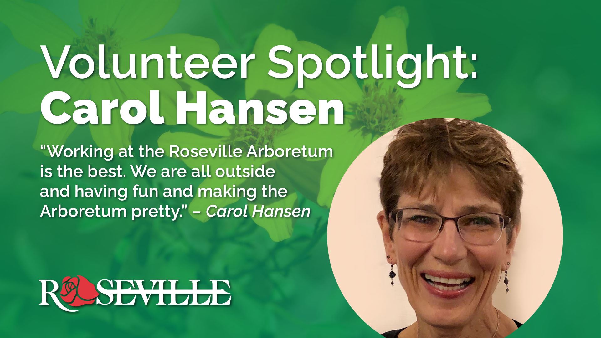 Volunteer Spotlight: Carol Hansen