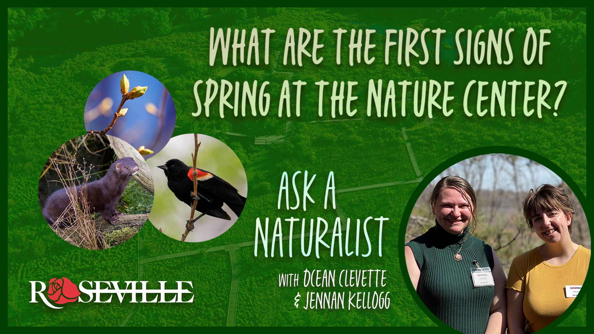 What are the first signs of spring at the nature center?