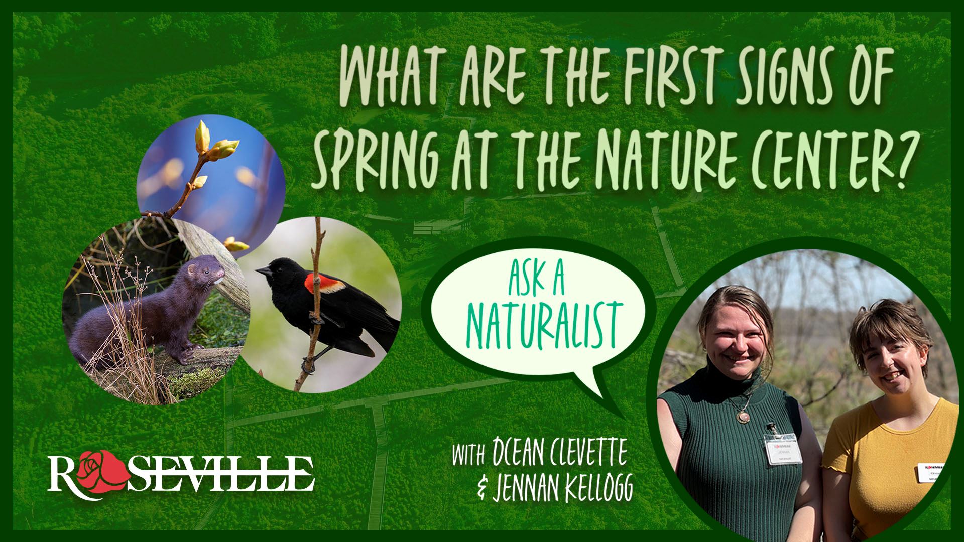Ask A Naturalist: What are the first signs of Spring at the Nature Center?