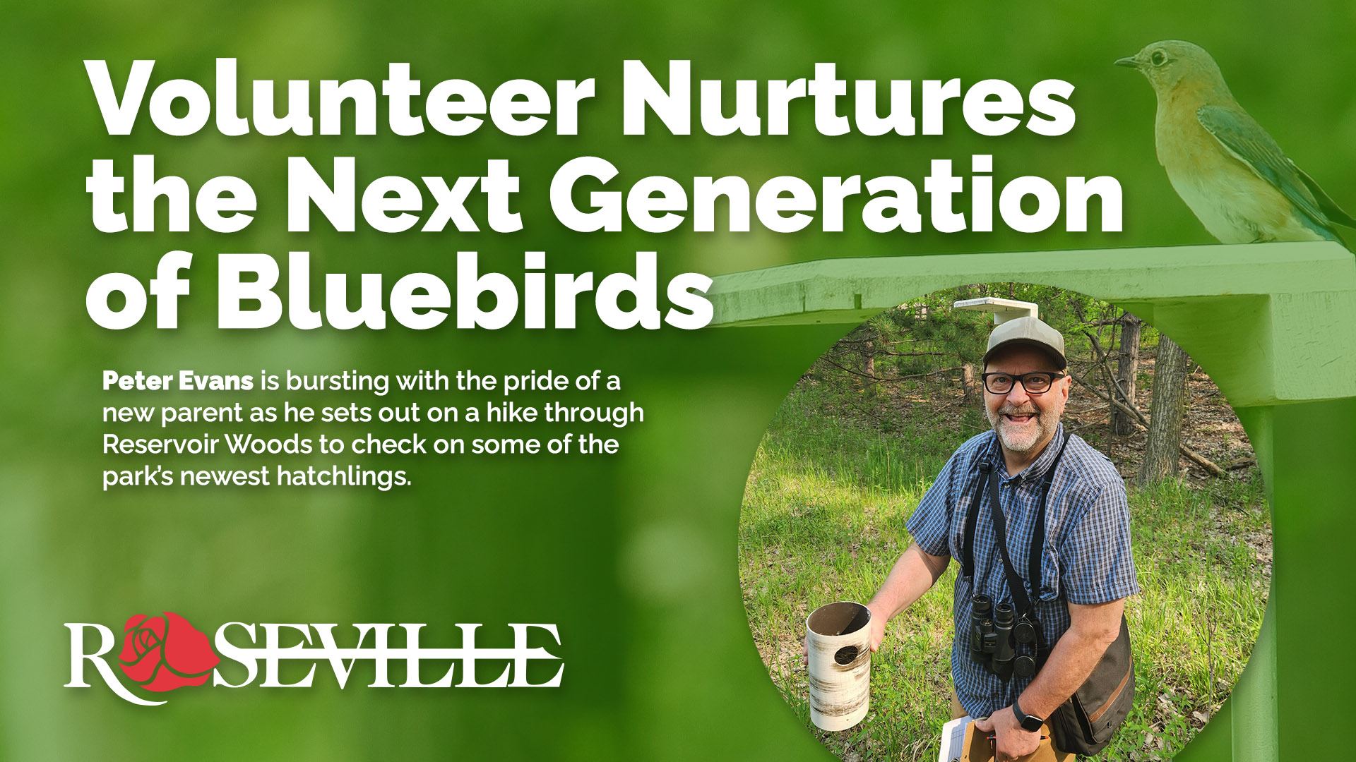 Volunteer Nurtures the Next Generation of Bluebirds.