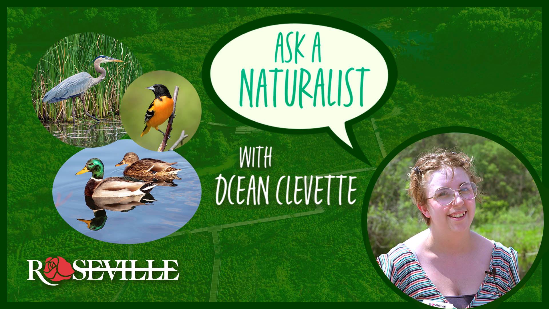Ask A Naturalist with Ocean Clevette