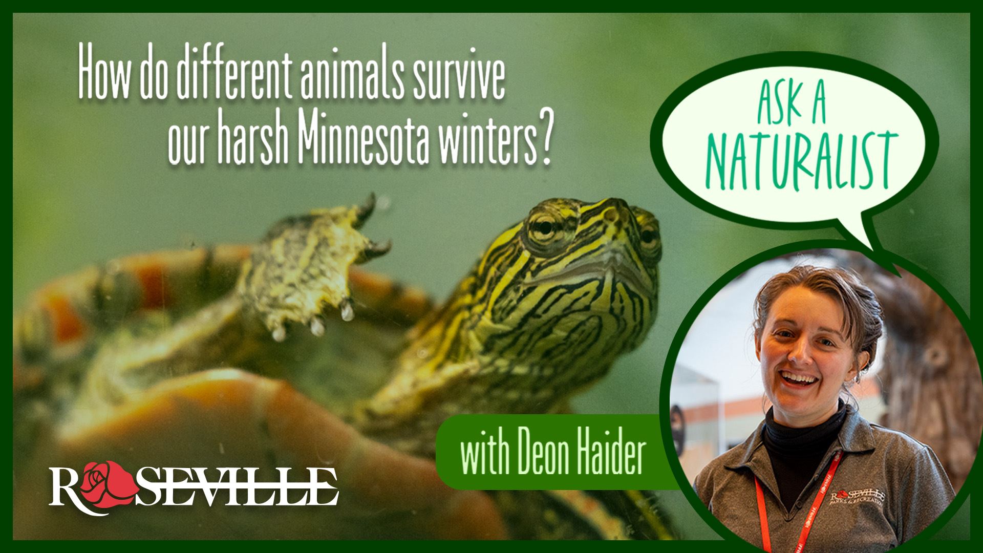 Ask a Naturalist - How do different animals survive our harsh Minnesota winters?