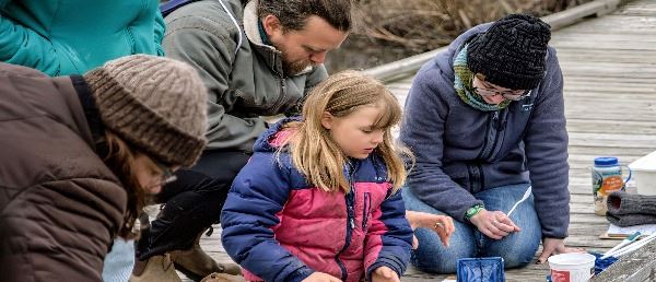 Four people sitting on boardwalk with net and buckets for pond dipping
