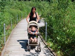 HANC Boardwalk_thumb.jpg