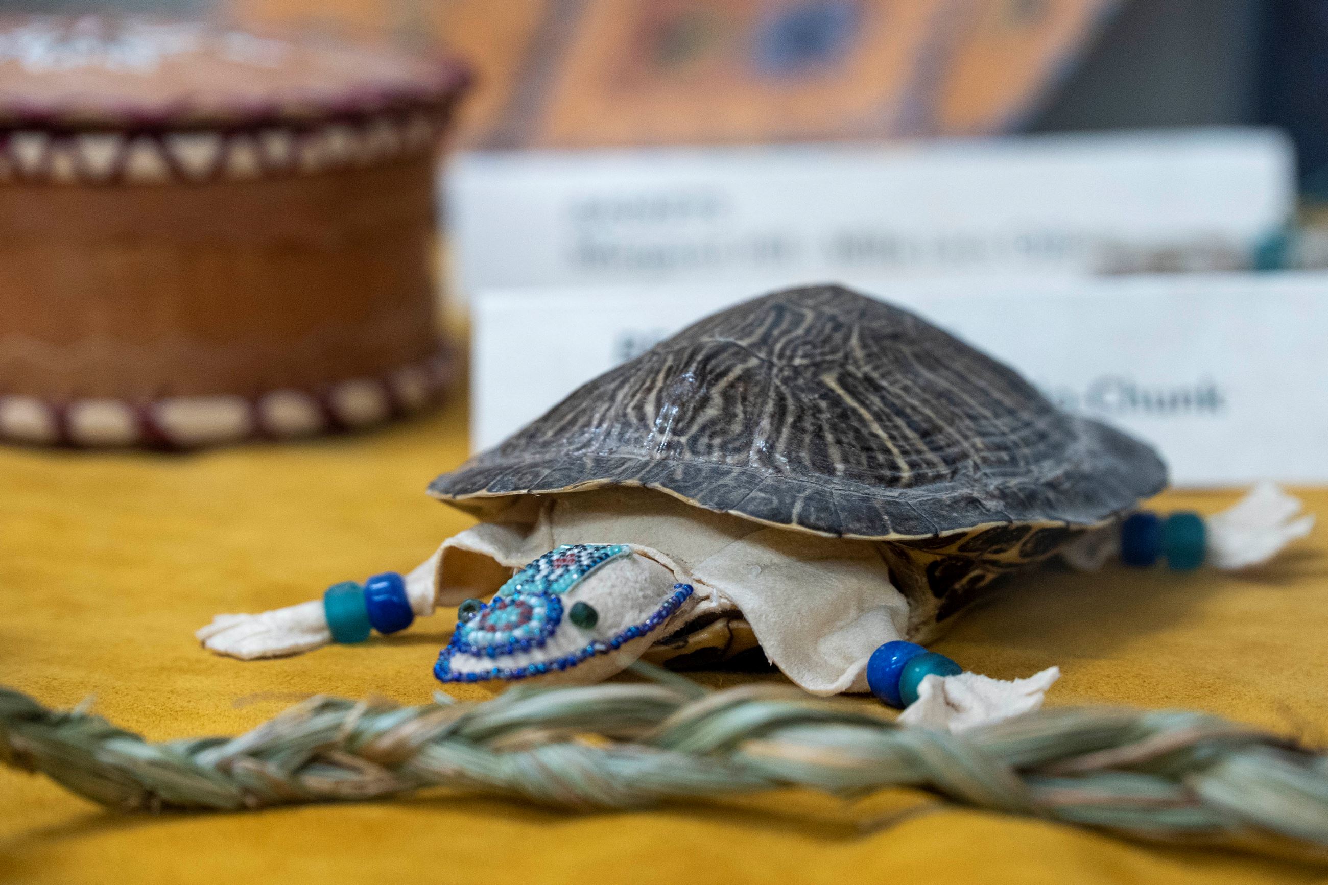 Beaded Turtle