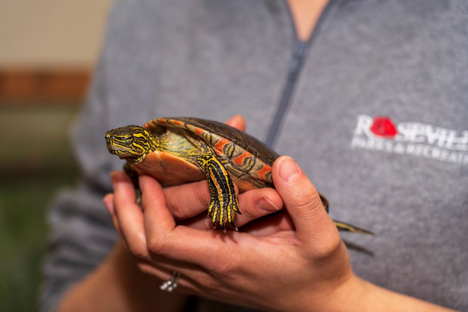 Deon holds Frank the Turtle.