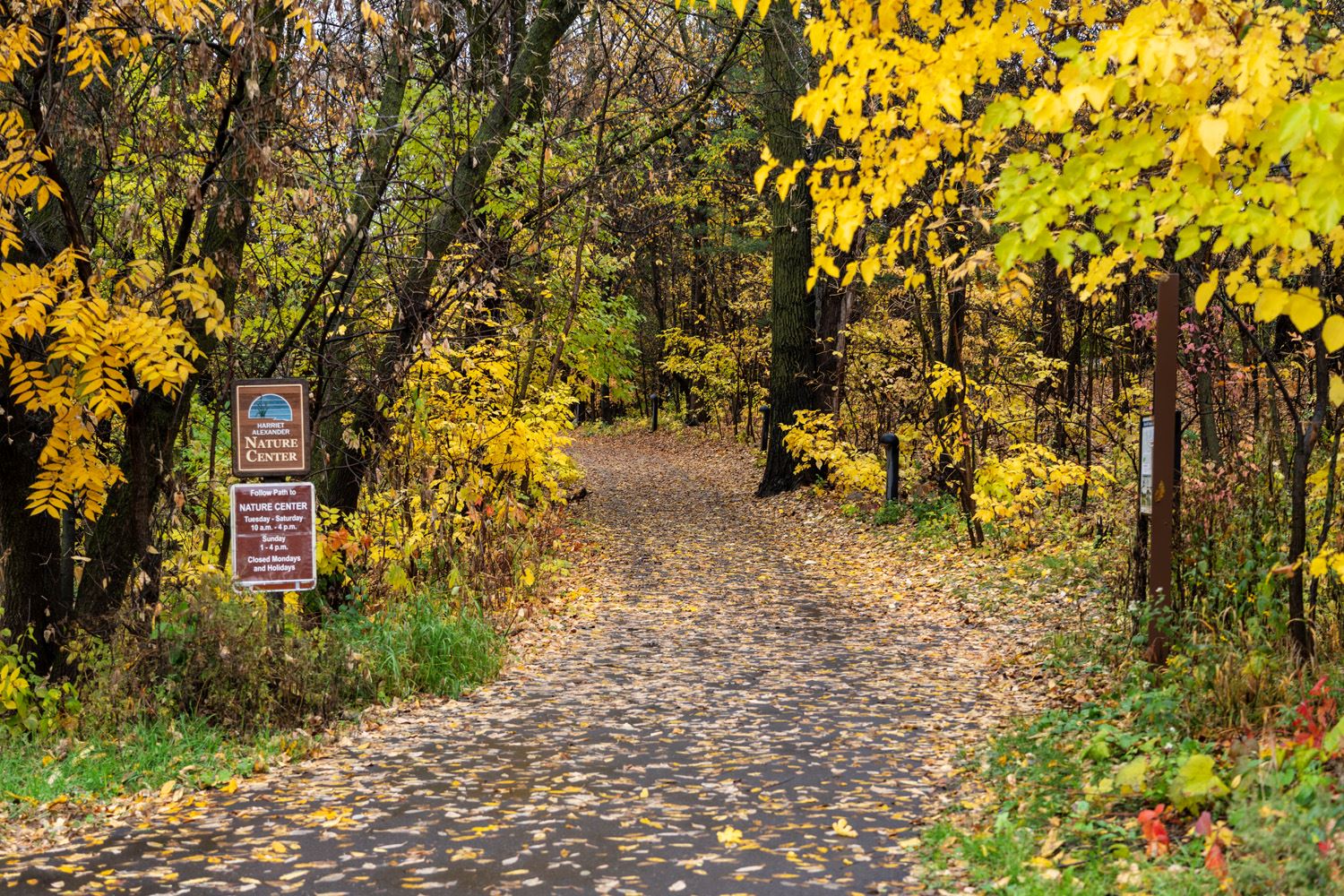 The pathway to Harriet Alexander Nature Center.