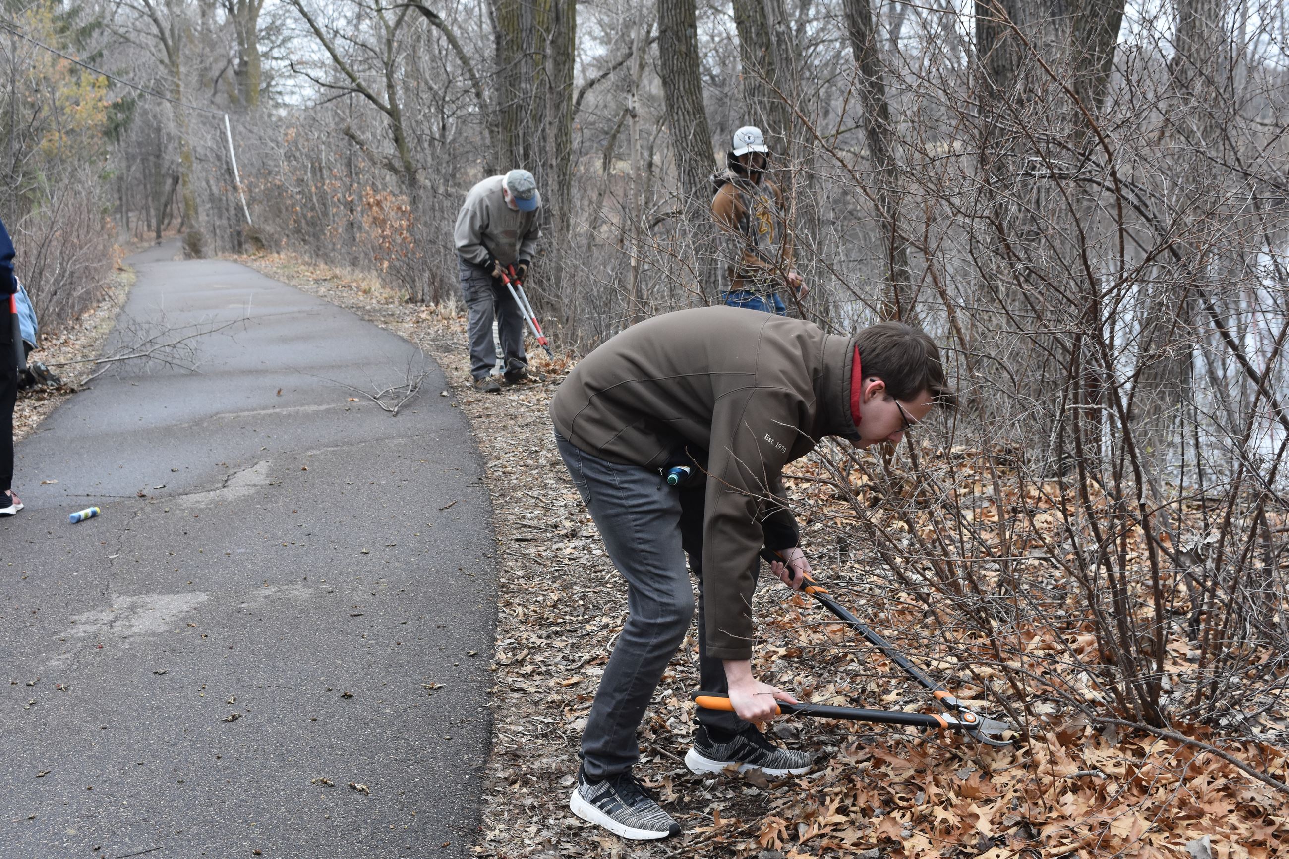 Buckthorn removal at Langton Lake Park in April 2025.